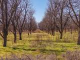 Lot 19 County Road 446 - Photo 9