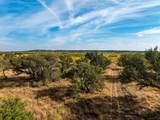 Buffalo4 Ranch County Road 290 - Photo 2