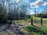 0 An County Road 153 - Photo 2