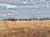 96.8 Acres County Road 353 - Photo 4