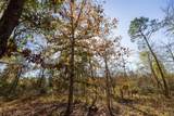 000 County Road 1135 - Photo 7
