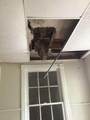 1847 Cook Street - Photo 8