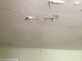 1847 Cook Street - Photo 9