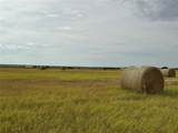 4315 County Road 226 - Photo 13
