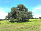 40 Acres TBD Hwy 2247 - Photo 12
