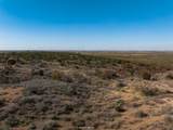 0 County Road 441 - Photo 15