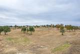 870 Collier Ranch Road - Photo 4