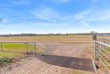 1700 Fm 1995 - Photo 19
