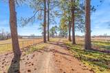 1700 Fm 1995 - Photo 38