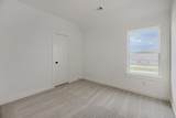 3305 Lacebark Lane - Photo 18