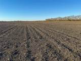 TBD County Road 3070 - Photo 15