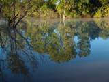 401 Loop 322 - Photo 24
