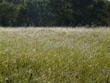 401 Loop 322 - Photo 31