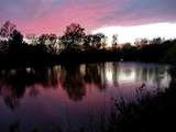 401 Loop 322 - Photo 5