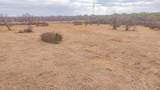 TBD County Road 133 - Photo 13