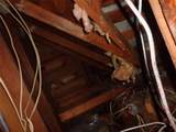 506 3rd Street - Photo 22