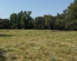 TBD Fm 2909 Trct 8 - Photo 4
