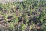 TBD-D County Road 216 - Photo 2