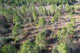 TBD-D County Road 216 - Photo 3