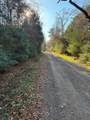 TBD-D County Road 216 - Photo 7