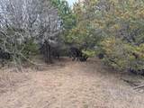 1377 Spring Valley Trail - Photo 4
