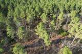 TBD-E County Road 216 - Photo 4