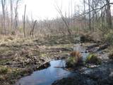 TBD 133 AC +- Vz County Road 4701 - Photo 15