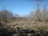TBD 133 AC +- Vz County Road 4701 - Photo 18