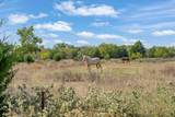337 Vz County Road 2719 - Photo 21
