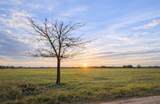 TBD County Road 14420 - Photo 4