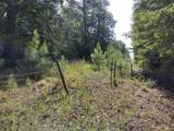 TBD Willow Point Marina Road - Photo 6