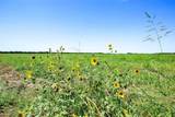 99AC Buck Creek - Photo 10