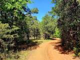 20169 County Road 445 - Photo 40