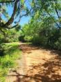 20169 County Road 445 - Photo 5