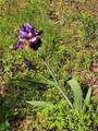 20169 County Road 445 - Photo 7