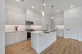 4228 Elk Hair Drive - Photo 10
