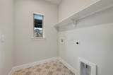 4235 Elk Hair Drive - Photo 8
