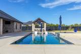 169 Pine Springs Cove - Photo 36