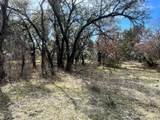 149 Comanche Hills - Photo 13