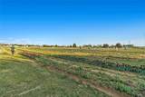 7522 Bent Gale Road - Photo 5