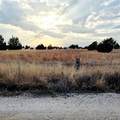 TBD Nw County Road 1140 - Photo 2