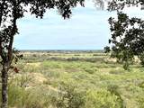 8982 County Road 149 - Photo 23