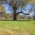 3317 3rd Street - Photo 1