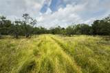 Lot 1 County Road 173 - Photo 4