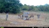 14725 Highway 183 - Photo 34