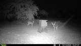 14725 Highway 183 - Photo 35