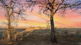 102 County Road 424A - Photo 21