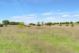 TBD 252 Acres Dan Morgan Road - Photo 10