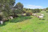TBD 252 Acres Dan Morgan Road - Photo 12