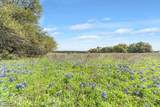 TBD 252 Acres Dan Morgan Road - Photo 13